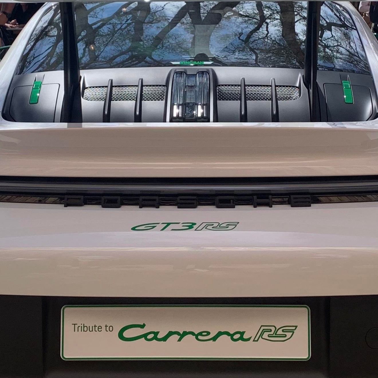 992 GT3RS Paint to Sample Engine Covers (Left and Right)